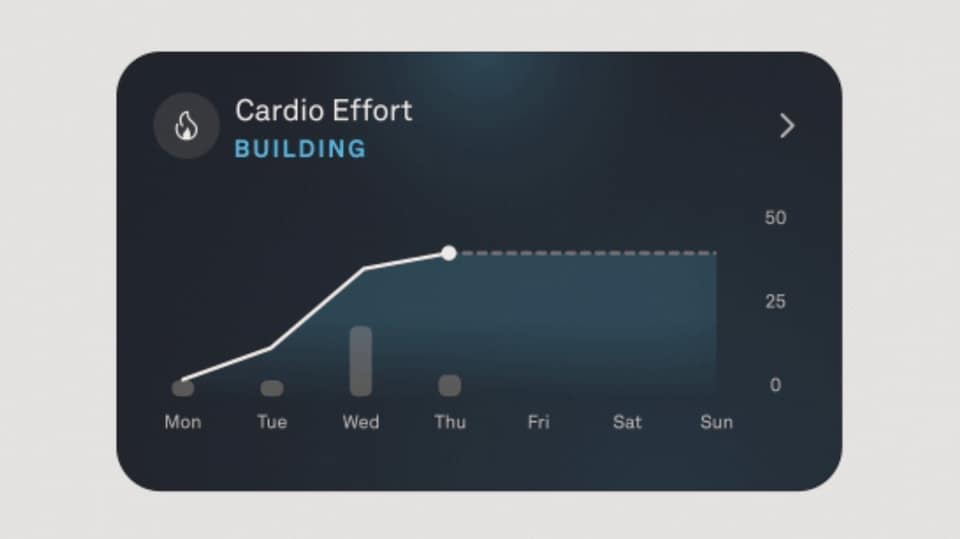 Oura Ring can track new stats related to cardio fitness