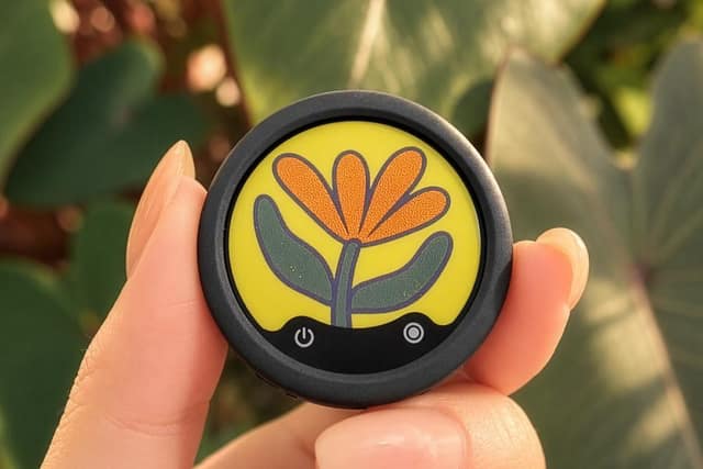 Insta360 launches a cheaper version of its wireless mics with color screens