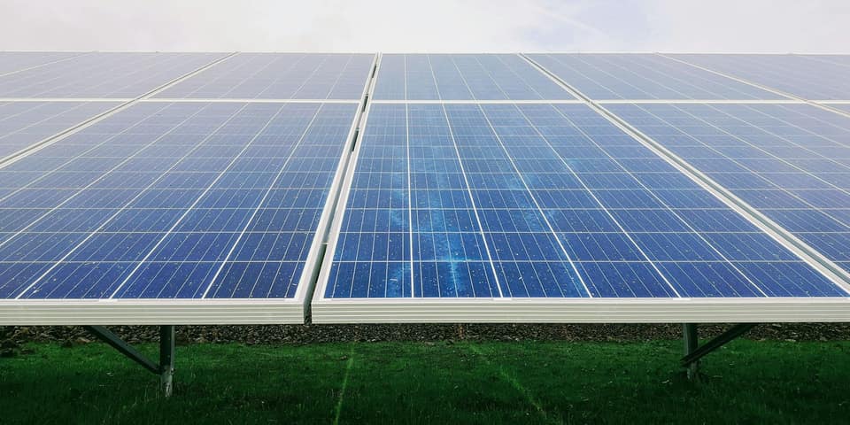 AI will be the defining test of Apple’s environmental commitments, says Greenpeace