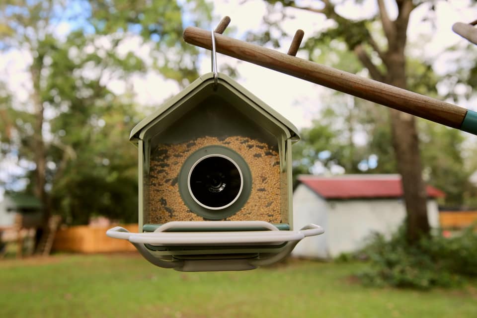 Birdbuddy’s budget feeder foiled my squirrels