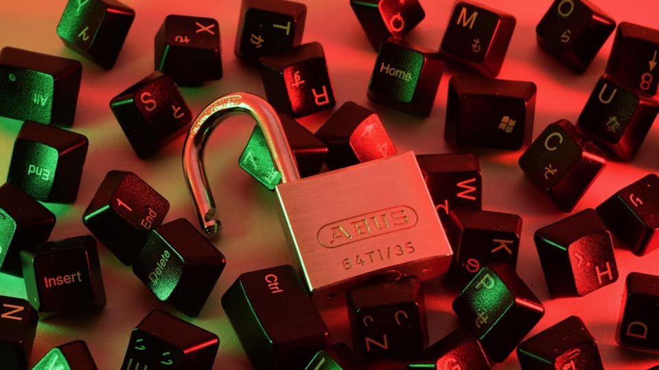 Digital scans of more than 153 million driver's licenses leaked to the dark web