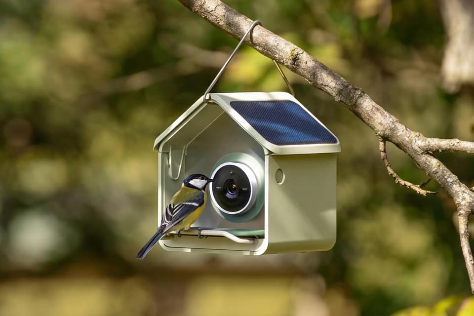 Birdbuddy’s Nook is a compact smart bird feeder for small spaces and budgets